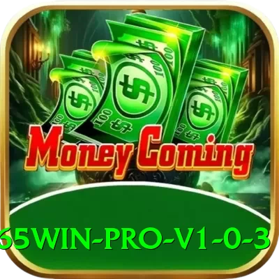 365Win Pro v1.0.3 - 2